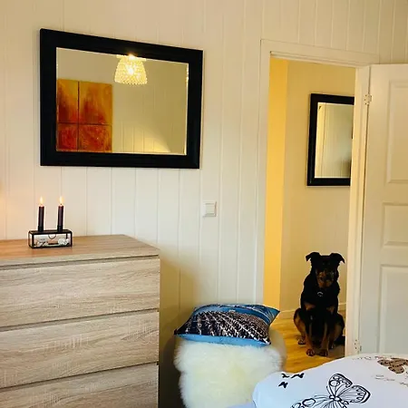 Familyfriendly-modern, In The Fishingtown Stamsund, With Sauna And Jacuzzi Apartment *