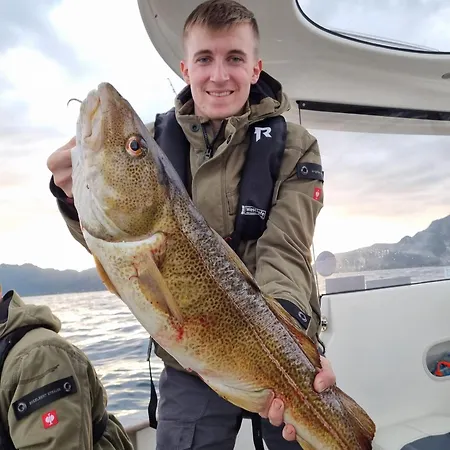 Familyfriendly-modern, In The Fishingtown Stamsund, With Sauna And Jacuzzi * Stamsund