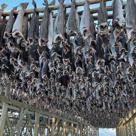 Apartmán Familyfriendly-modern, In The Fishingtown Stamsund, With Sauna And Jacuzzi *