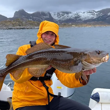 Familyfriendly-modern, In The Fishingtown Stamsund, With Sauna And Jacuzzi *