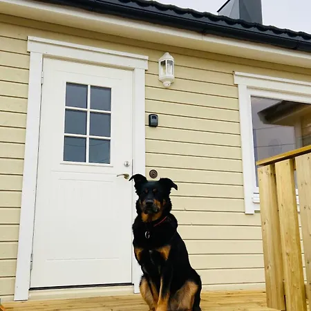 Familyfriendly-modern, In The Fishingtown Stamsund, With Sauna And Jacuzzi Apartmán